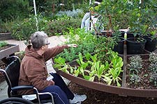 2009 Los Angeles Garden Show, The Accessible Edible Garden.